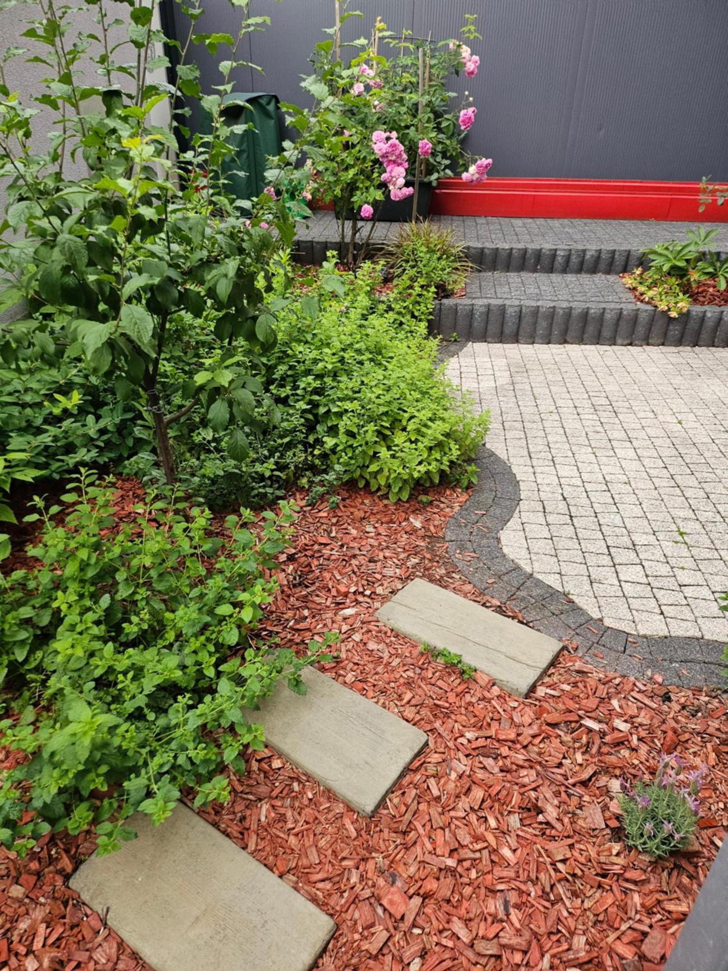 Apartment Tanie Breslau